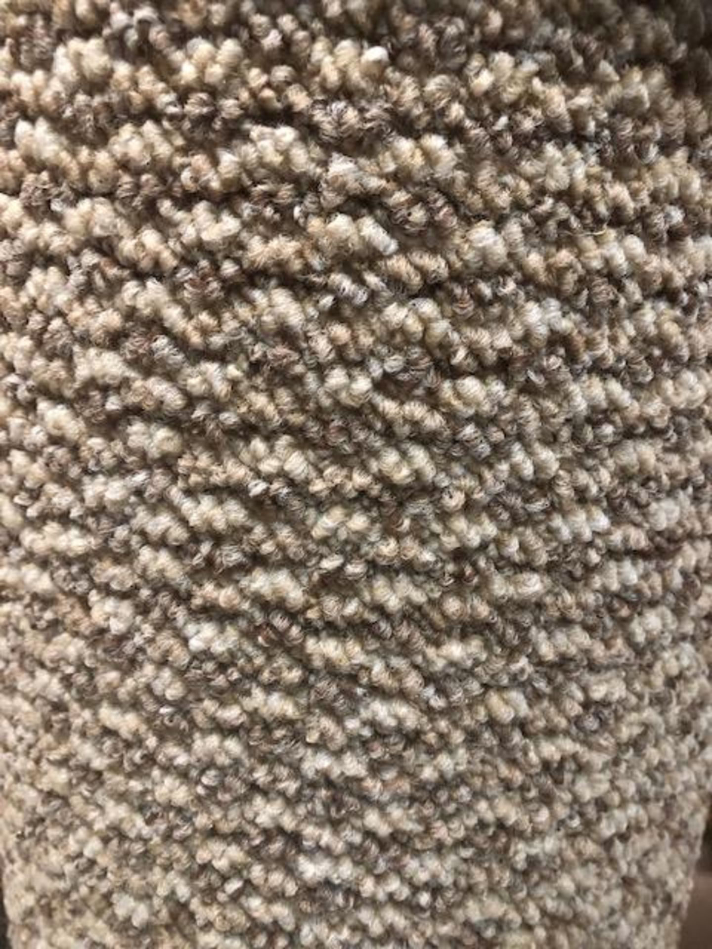 Venus Multi Beige 4.8M X 4M (15Ft6In X 13Ft ) Polypropylene Loopcontract Feltback Carpet