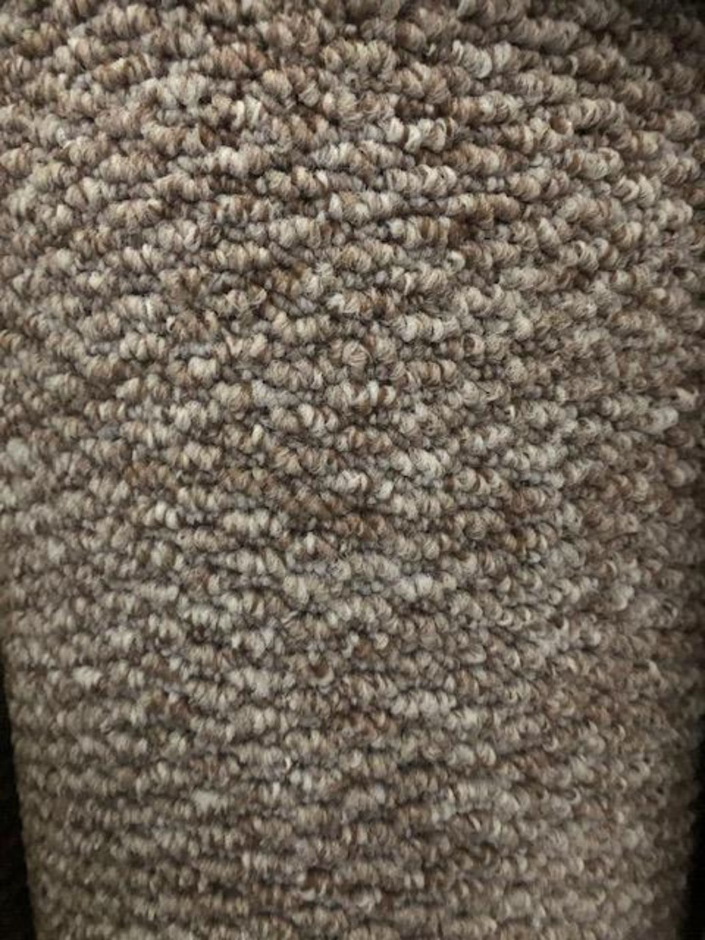 Mali Almond 4.4M X 4M (14Ft 3In X 13Ft ) Polypropylene Loopcontract Feltback Carpet