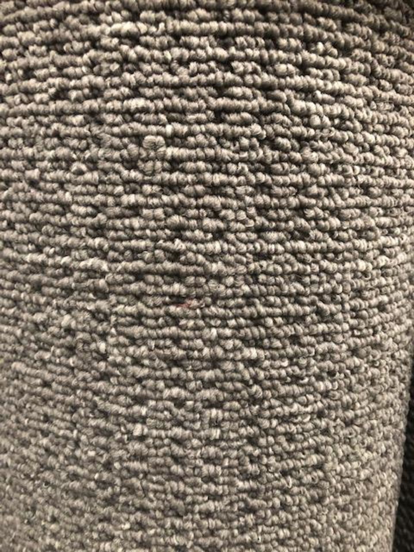 Seattle Frey 6M X4M (19Ft 9In X 13Ft ) Polypropylene Loopcontract Feltback Carpet