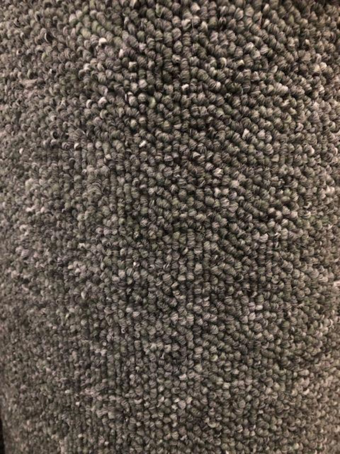 Megastar Green 8.2M X 4M (25Ft4In X 13Ft ) Polypropylene Loopcontract. Hessian Back Carpet