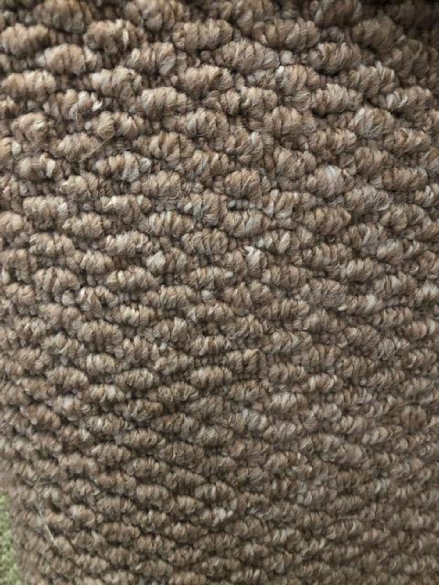 Pasha Beige 5M X 4M (16Ft3In X 13Ft) Polypropylene Loopcontract Feltback Carpet