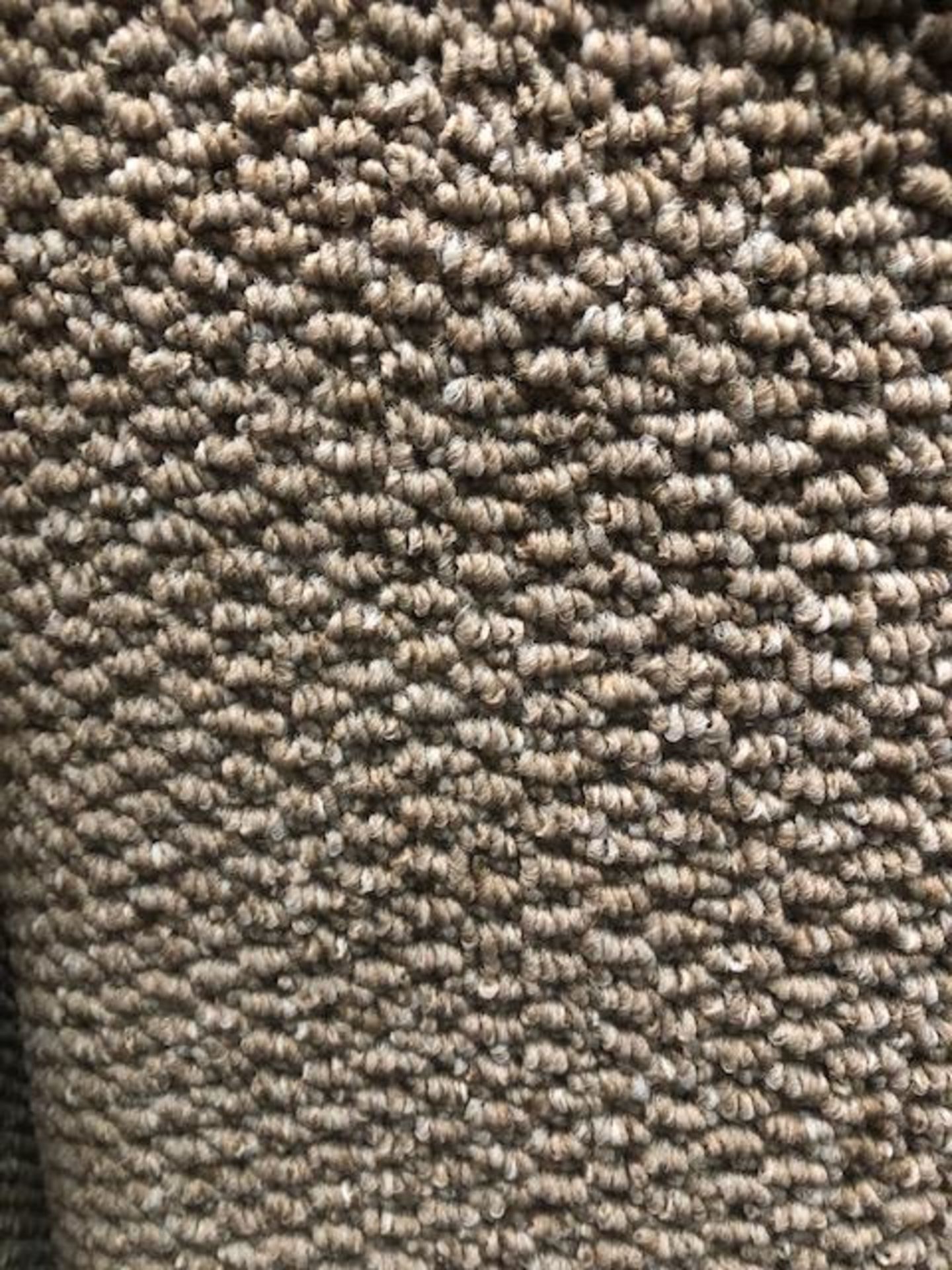 Regatta Stone 4M X 4M (13Ft X 13Ft ) Polypropylene Loopcontract Feltback Carpet