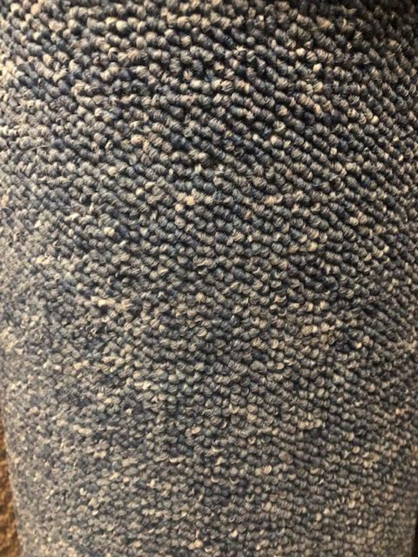 Megastar Blue 7M X 4M (22Ft11In X 13Ft) Polypropylene Loopcontract Hessian Back Carpet