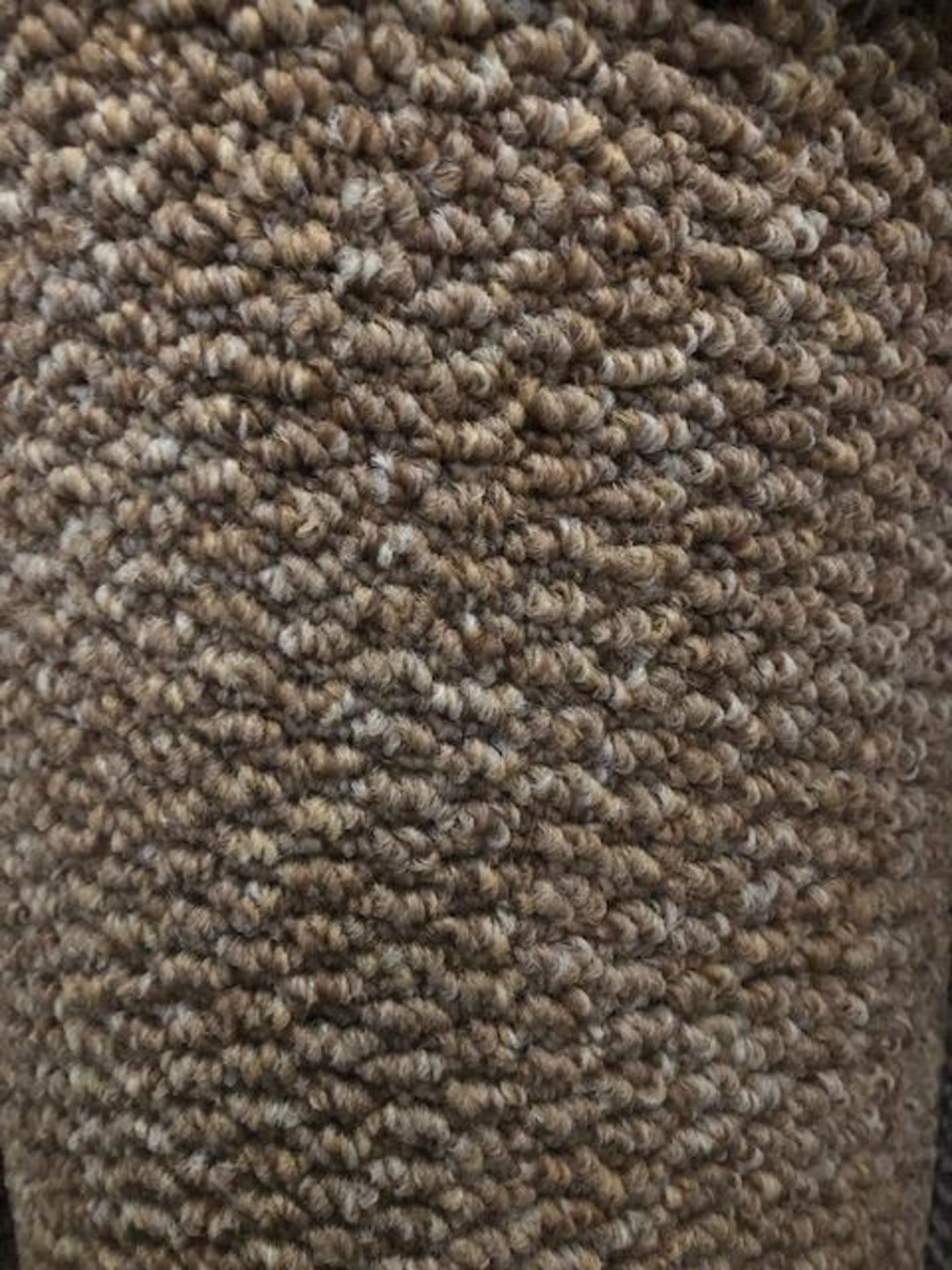 Mars Camel 4M X 3.5M (13Ft X 11Ft 6In ) Polypropylene Loopcontract Feltback Carpet