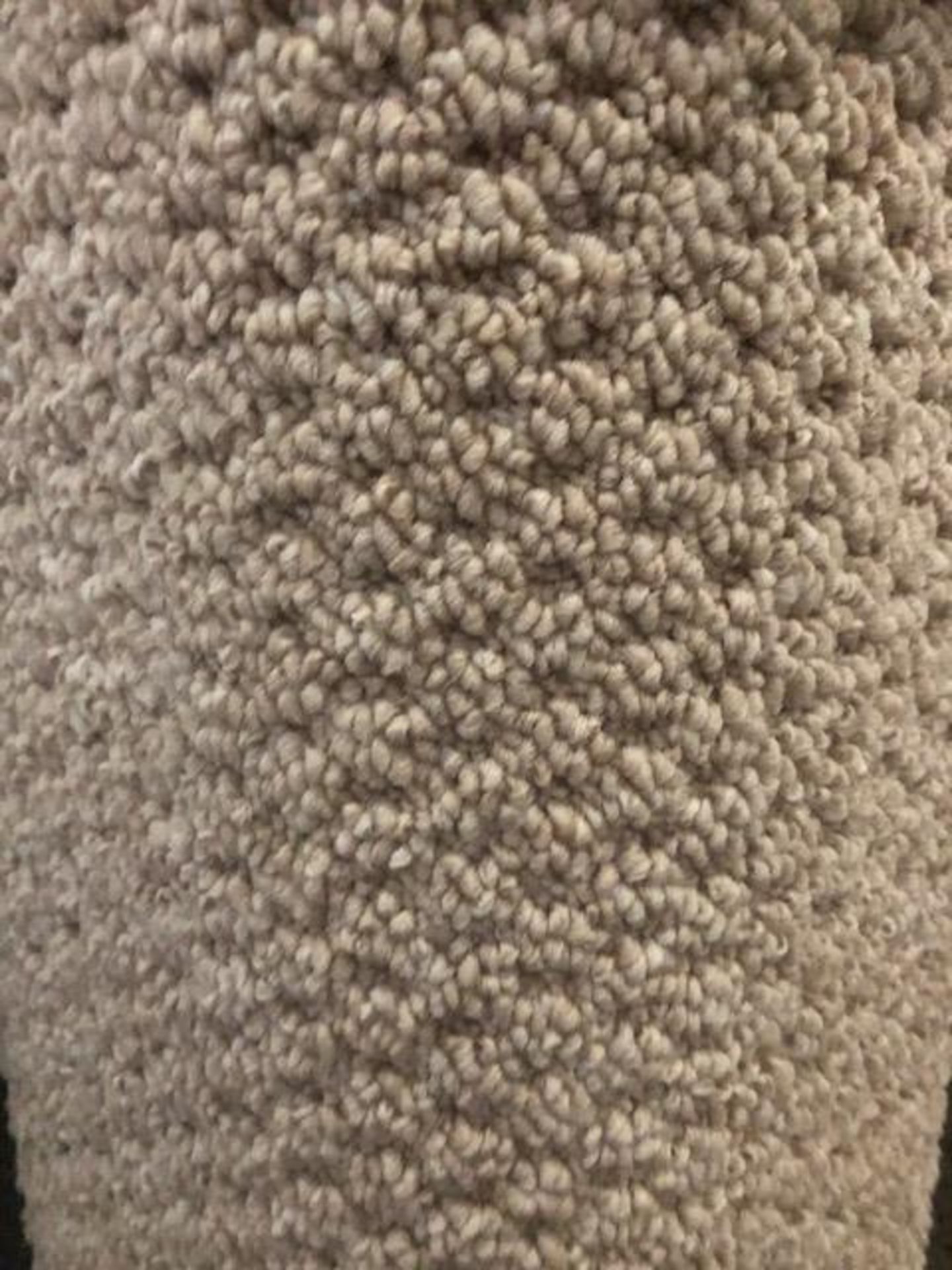 Sweethome Oyster4M X 4M (13Ftx13Ft) Polypropylene Looppile Hessian Back Carpet