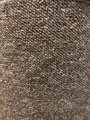 Turbo Mocha 5M X 3M (16Ft 3In X13Ft ) Polypropylene Loopcontract Feltback Carpet