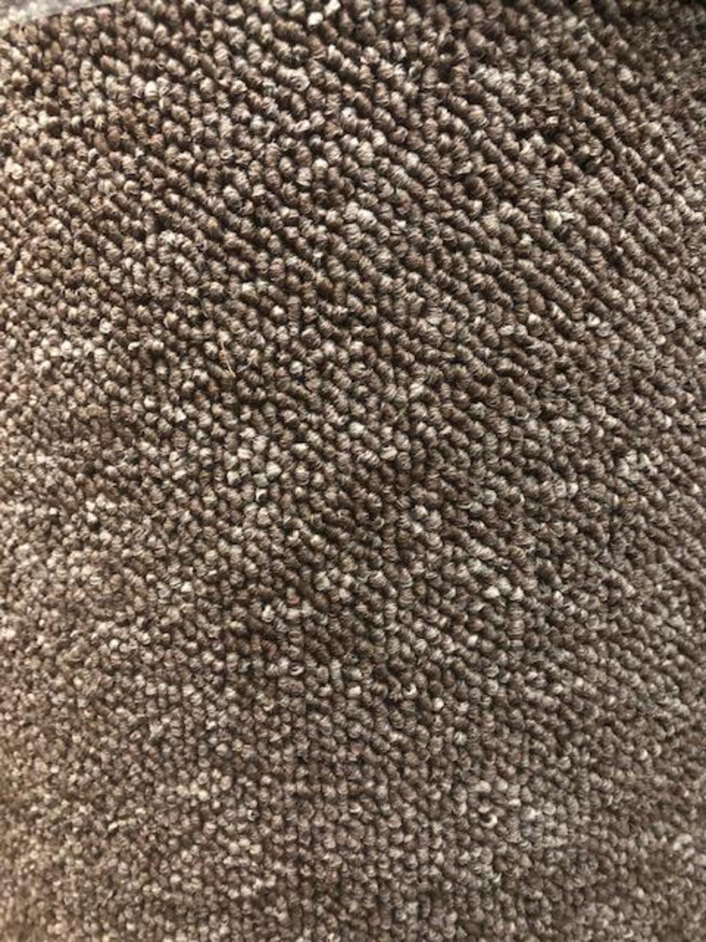 Turbo Mocha 5M X 3M (16Ft 3In X13Ft ) Polypropylene Loopcontract Feltback Carpet