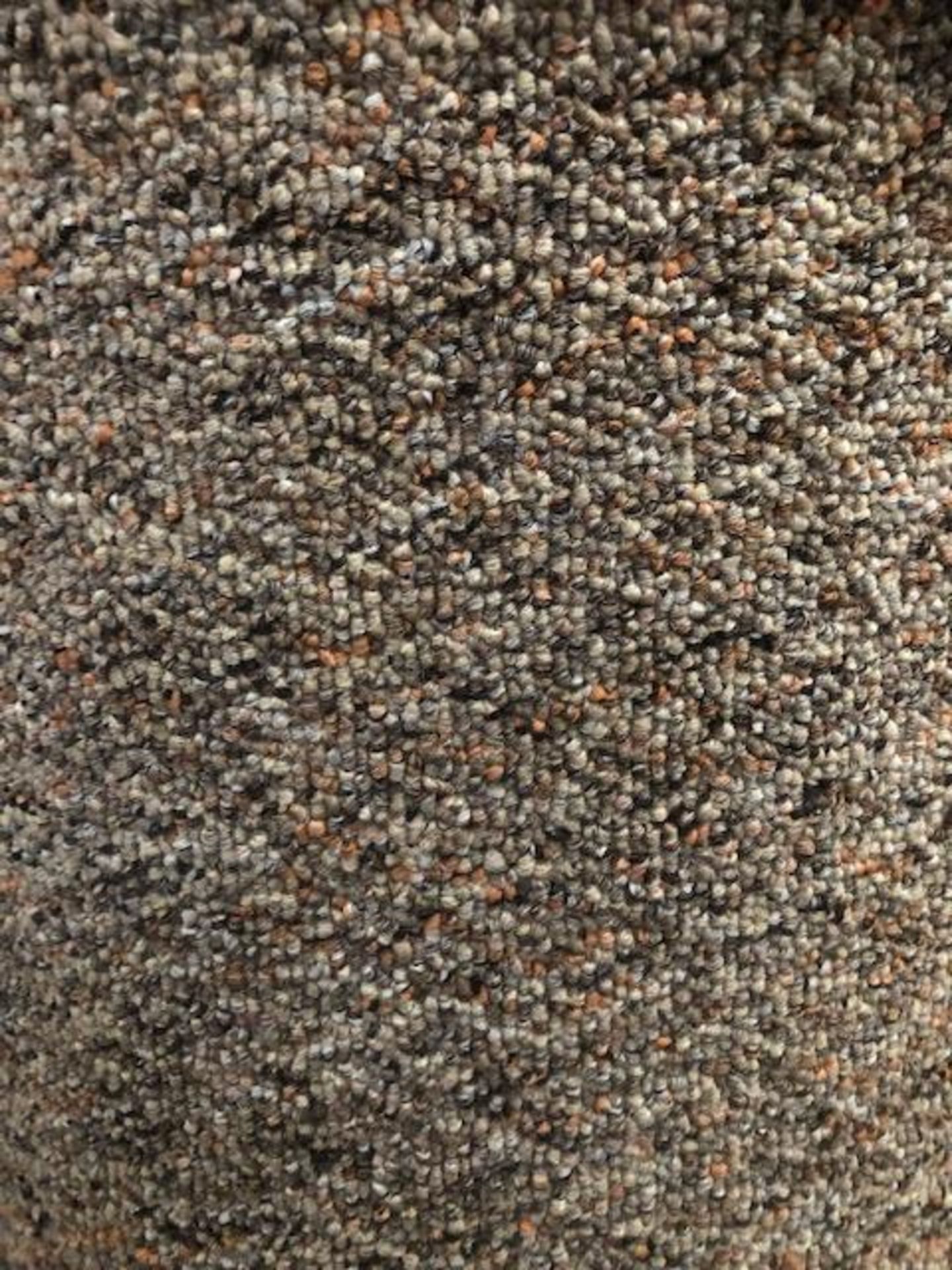 Bellini Mix 7M X 4M (23Ft X 13Ft) Polypropylene Loopcontract Feltback Carpet