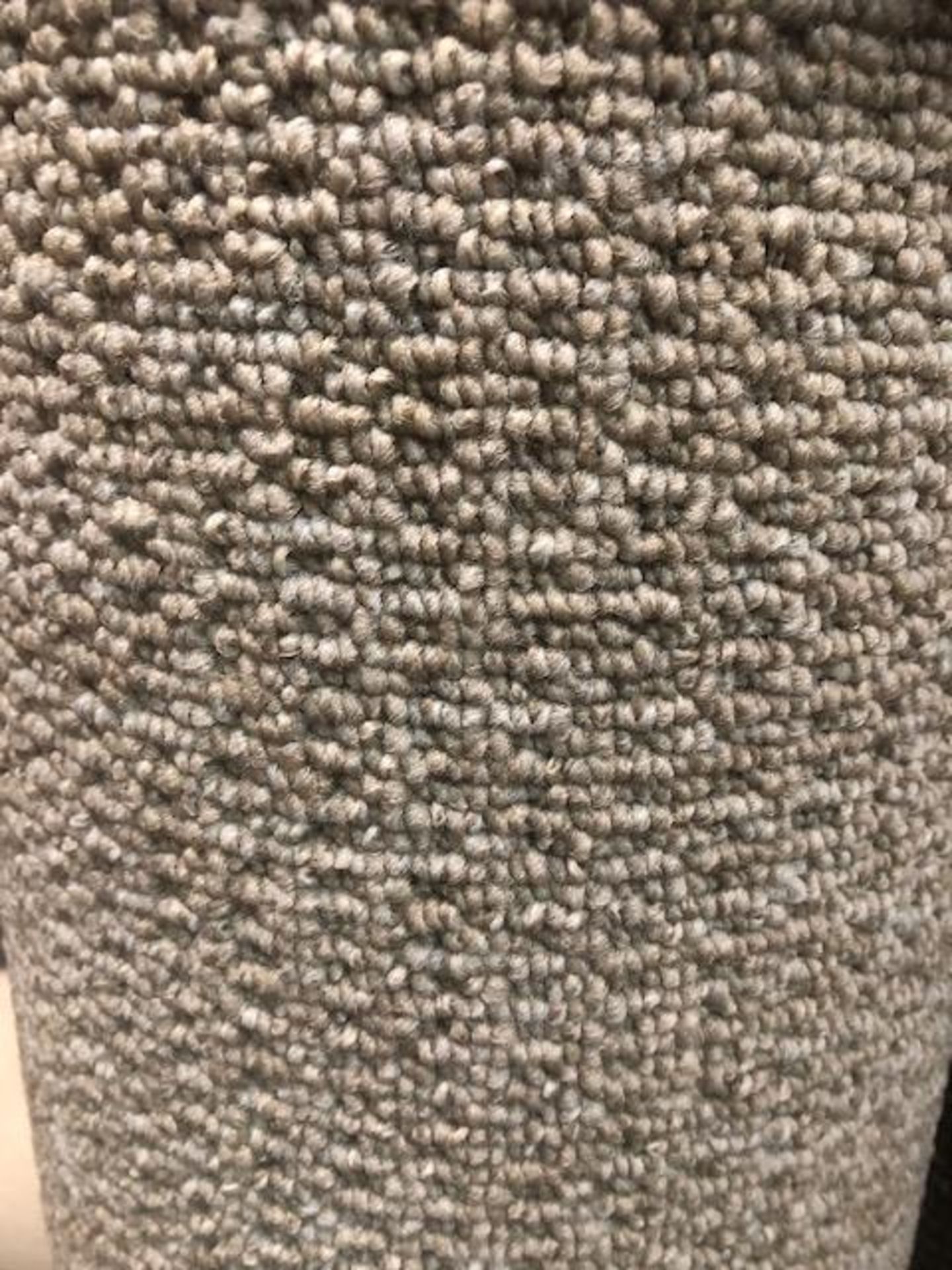 Seattle Beige 4.6M X 4M (15Ft 1In X 13Ft ) Polypropylene Loopcontract Feltback Carpet