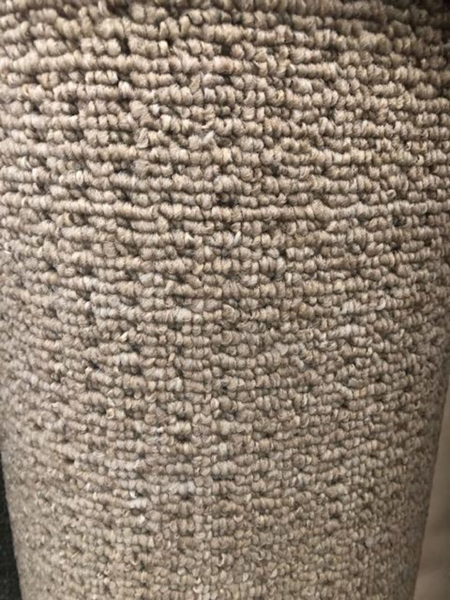 Seattle Beige 4M X 4.1M (13Ft 3In X 13Ft ) Polypropylene Loopcontract Feltback Carpet