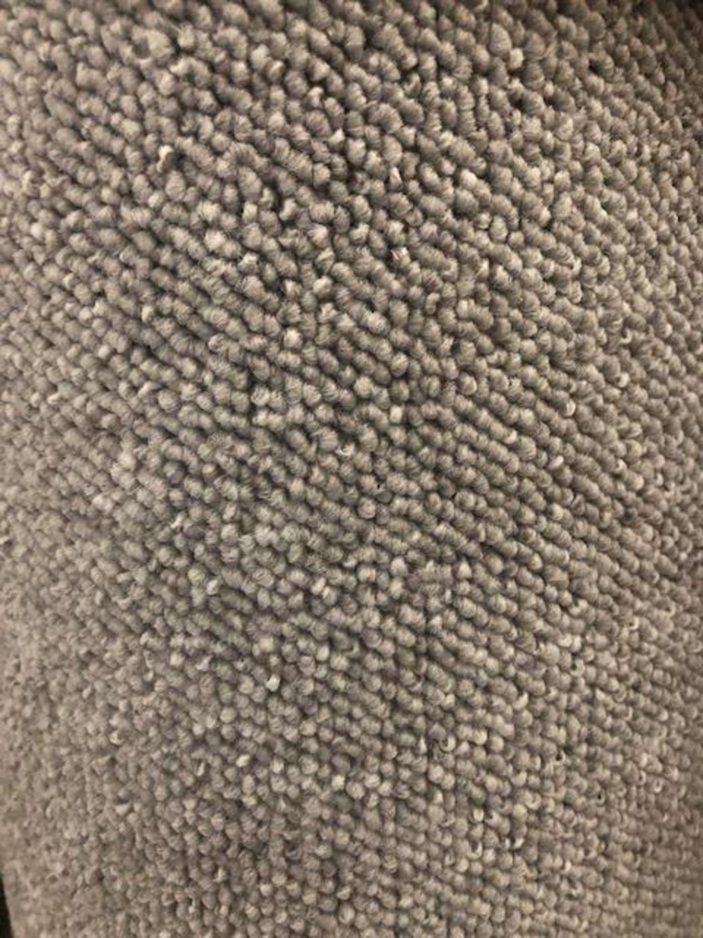 Seattle Taupe 5M X 4M (16Ft3In X 13Ft ) Polypropylene Loop Pile Feltback Carpet