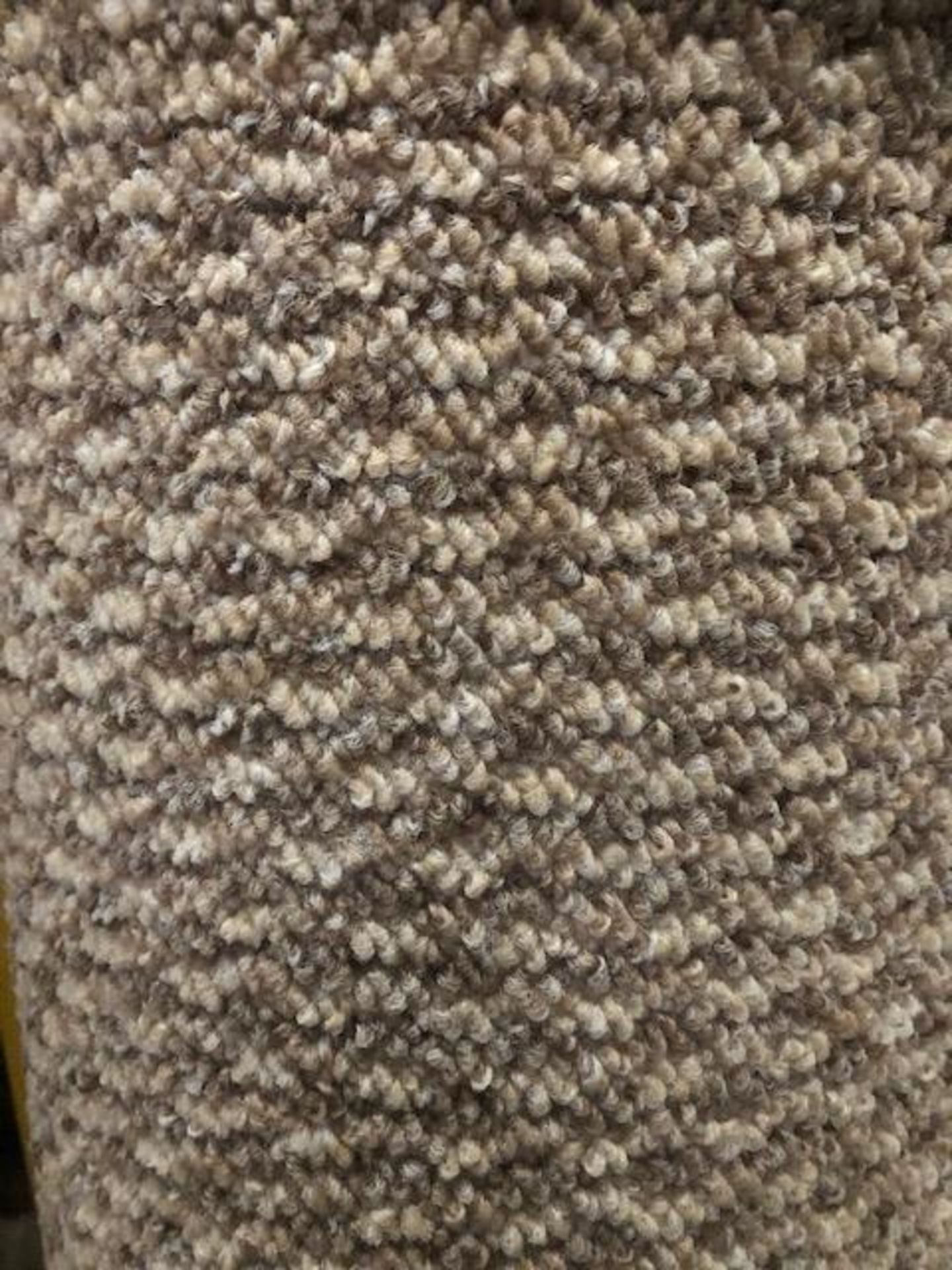 Venus Olosso 6.8M X 4M (22Ft 3In X 13Ft ) Polypropylene Loopcontract Feltback Carpet