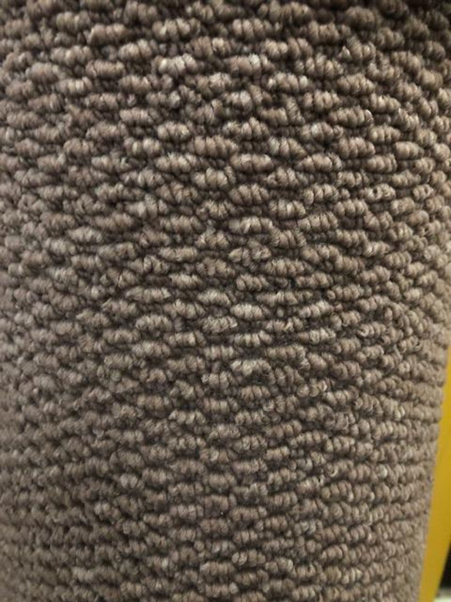 Regatta Mink 4.2Mx 4M (13Ft6In X 13Ft) Polypropylene Loopcontract Feltback Carpet