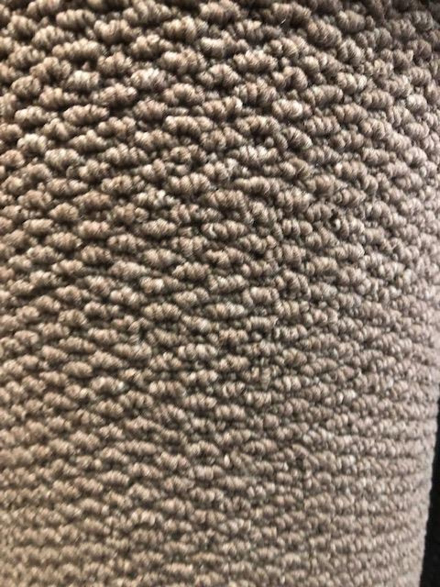 Regatta Mink 4.4M X 4M (14Ft 3In X 13Ft ) Polypropylene Loopcontract Feltback Carpet