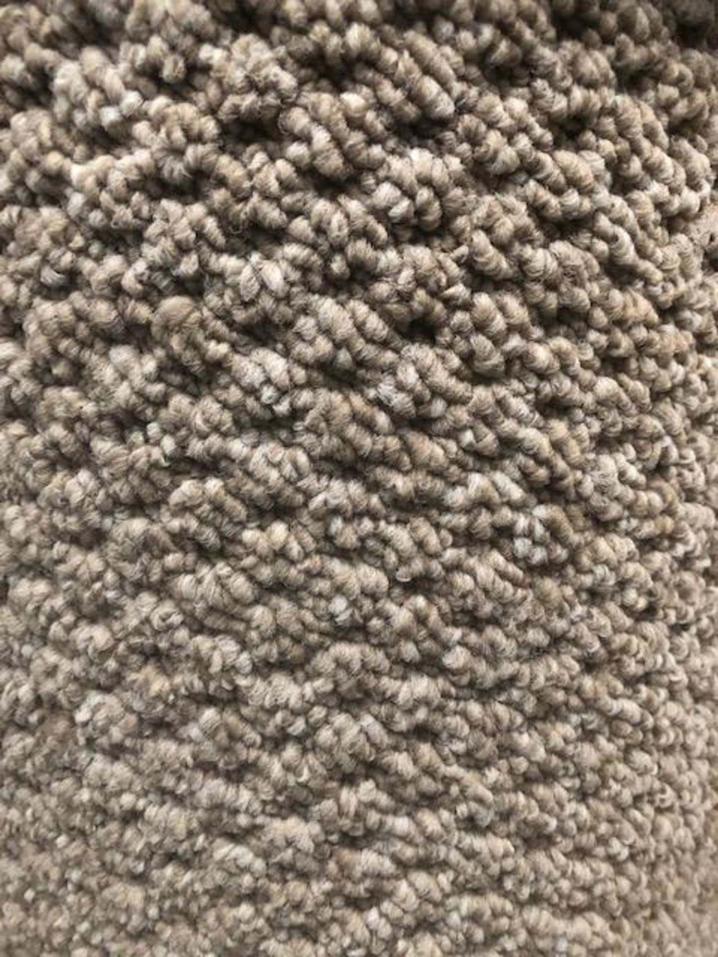 Lot 53 Sweethome Pebble 4.4M X 4M (14Ft 3In X 13Ft ) Polypropylene Loopcontract Feltback Carpet