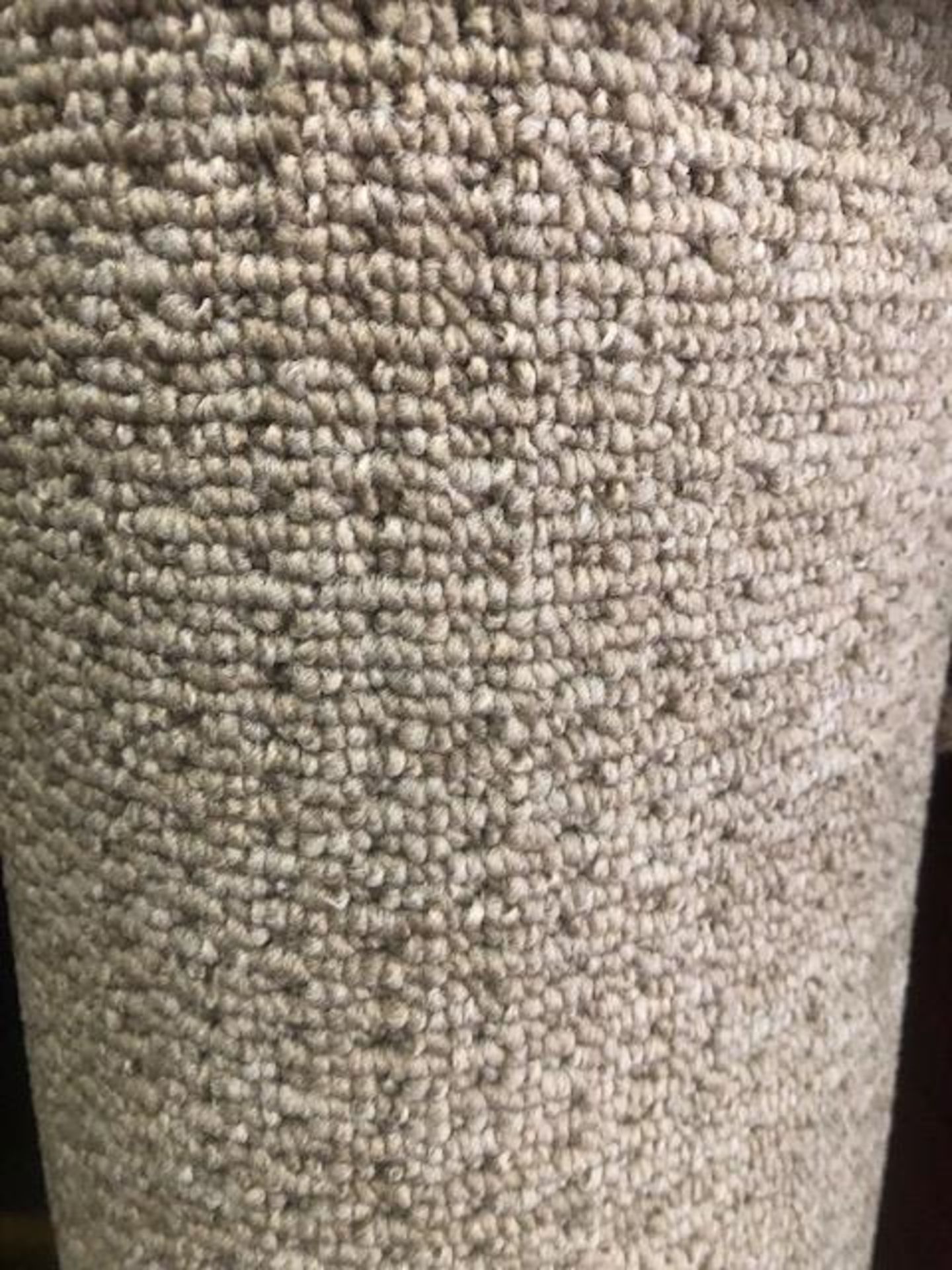 Seattle Beige 4M X 4M 13Ft X13Ft Loopcontract Polypropylene Feltback Carpet