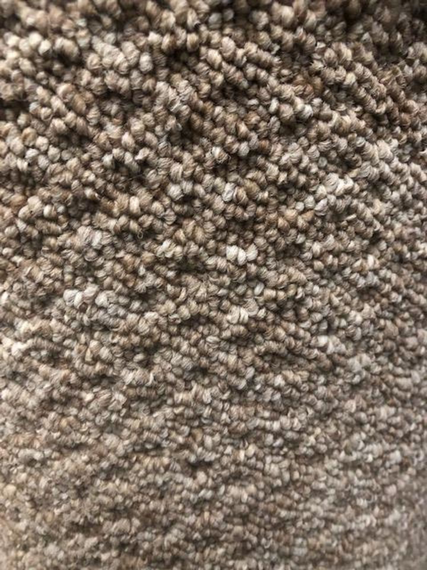 Sweethome Pasha 6.6M X 4M (21Ft8In X 13Ft ) Polypropylene Loopcontract Feltback Carpet