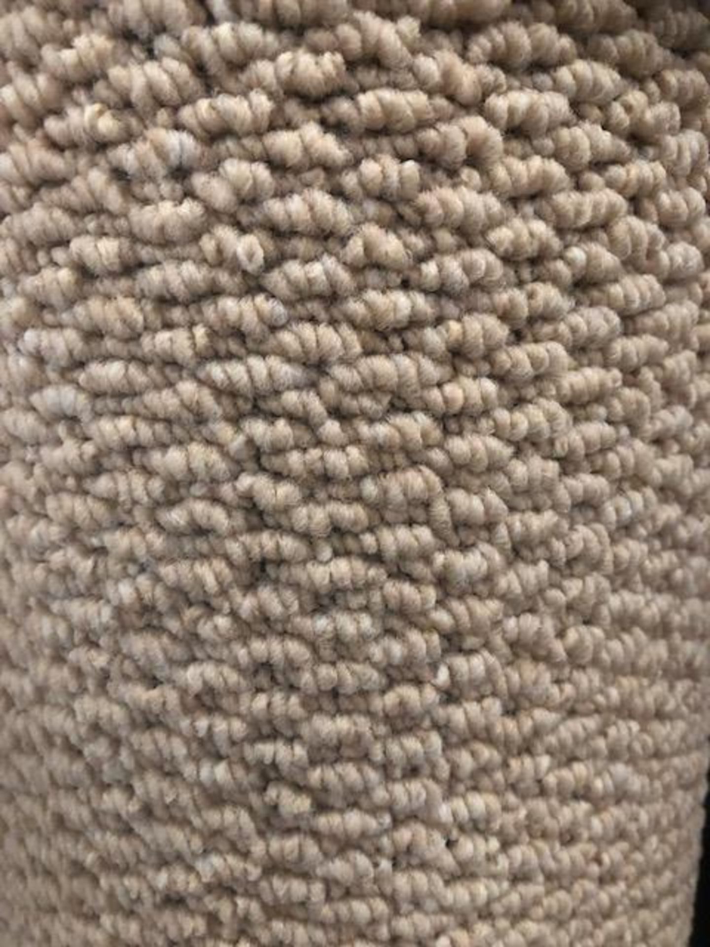 Seattle Taupe 5M X 4M (16Ft3In X 13Ft ) Polypropylene Loop Pile Feltback Carpet