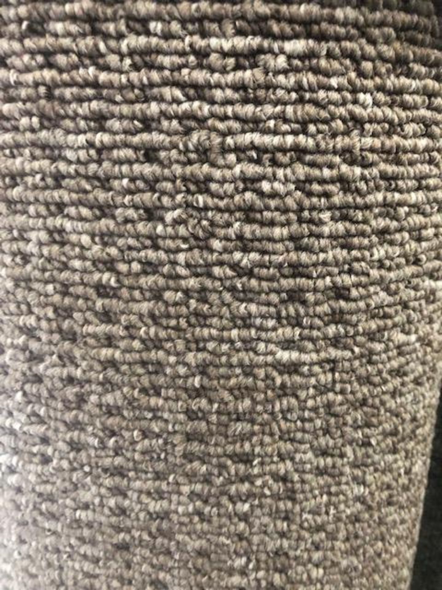 Seattle Grey 7M X 4M (23Ft X 13Ft ) Polypropylene Loopcontract Feltback Carpet