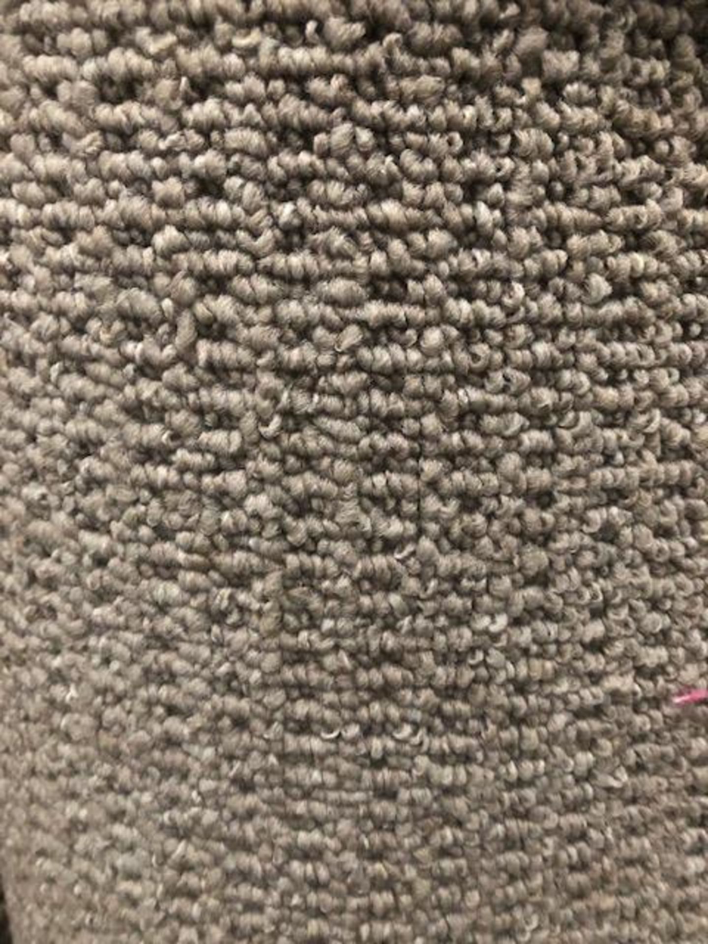 Seattle Grey 7M X 4M (22Ft9In X 13Ft ) Polypropylene Loopcontract Feltback Carpet