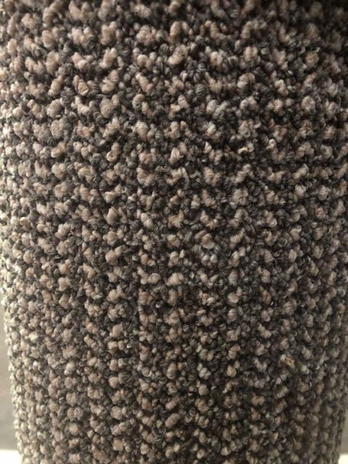 Bolero Mist 5M X 4M (16Ft 3In X 13Ft ) Polypropylene Loopcontract Feltback Carpet