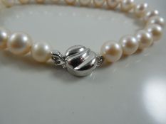 Cultured pearl bracelet