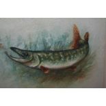 Signed Harry Davis Watercolour "Pike"