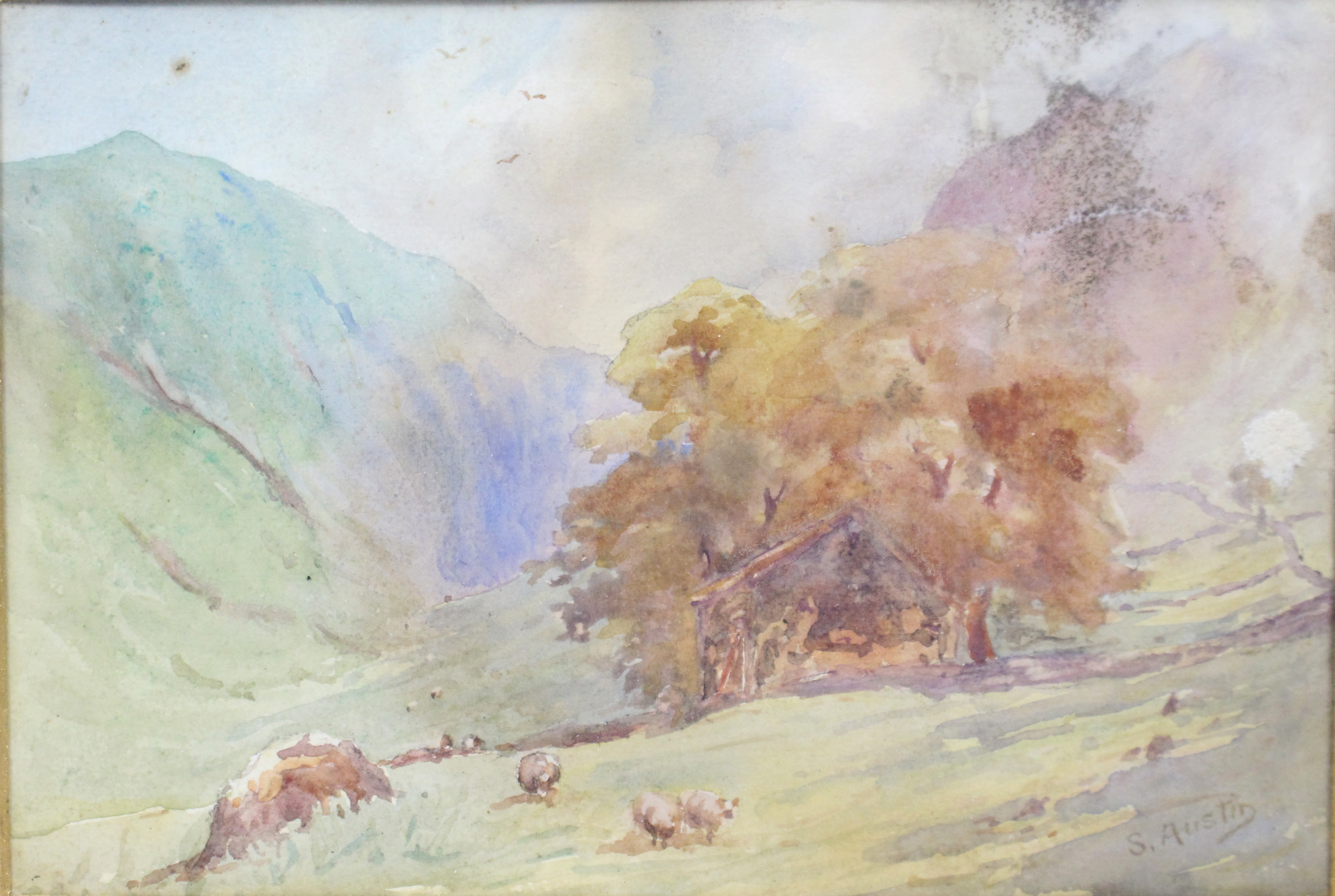 Victorian Cattle Grazing Landscape Watercolour S.Austin