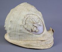 C19th carved cameo conch shell