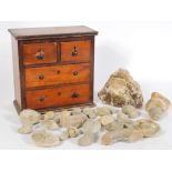 C19th collectors miniature chest of fossils