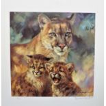 Signed Limited Edition 'Cougar Cats & Cubs' By Donald Grant