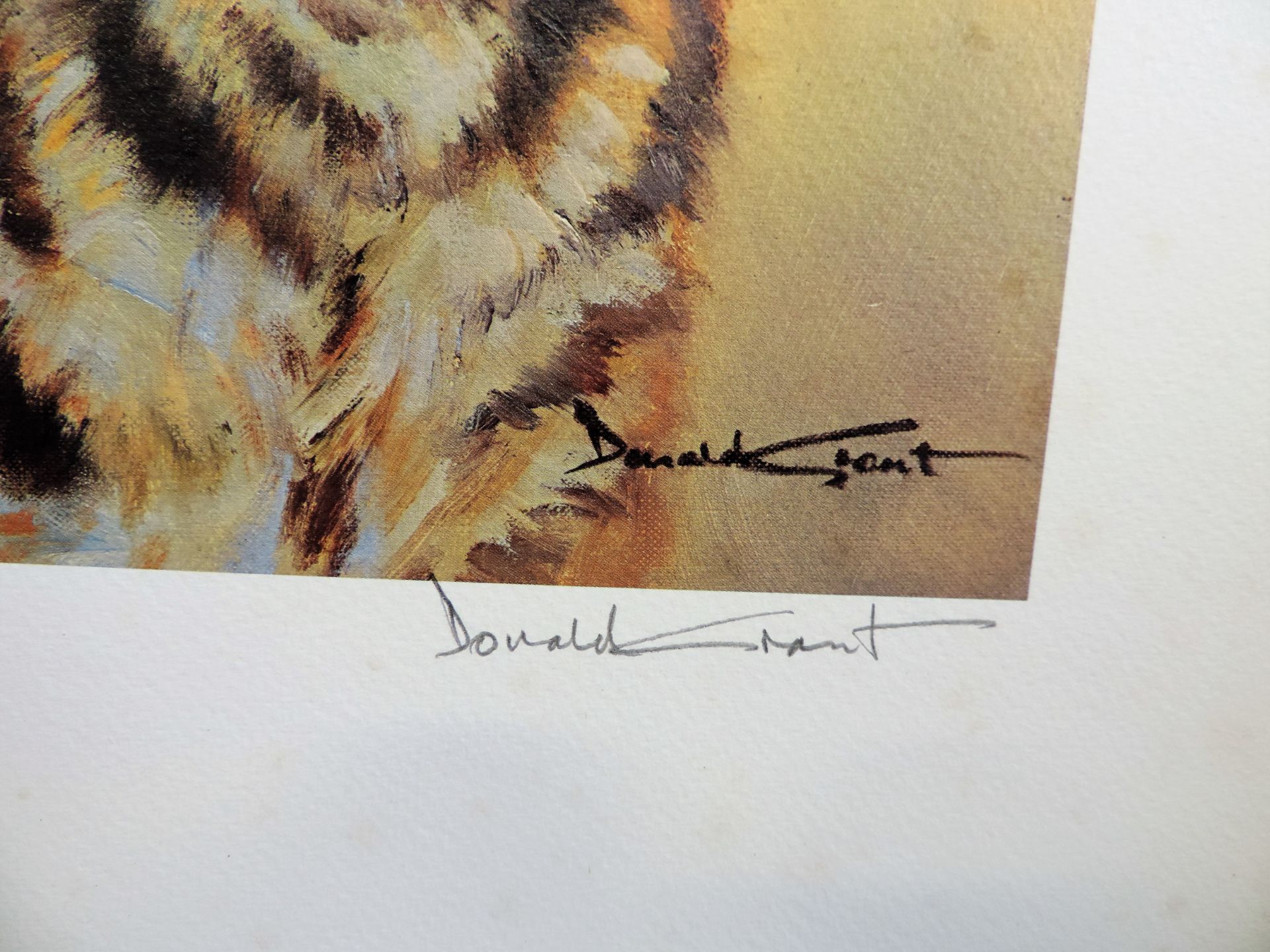 Limited Edition Signed Print 'Bengal Tiger & Cubs' by Donald Grant - Image 3 of 4