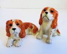 Kings Charles Spaniels Salt and Pepper Pot Set