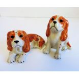 Kings Charles Spaniels Salt and Pepper Pot Set