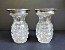 Pair of Antique Silver Rimmed Vases