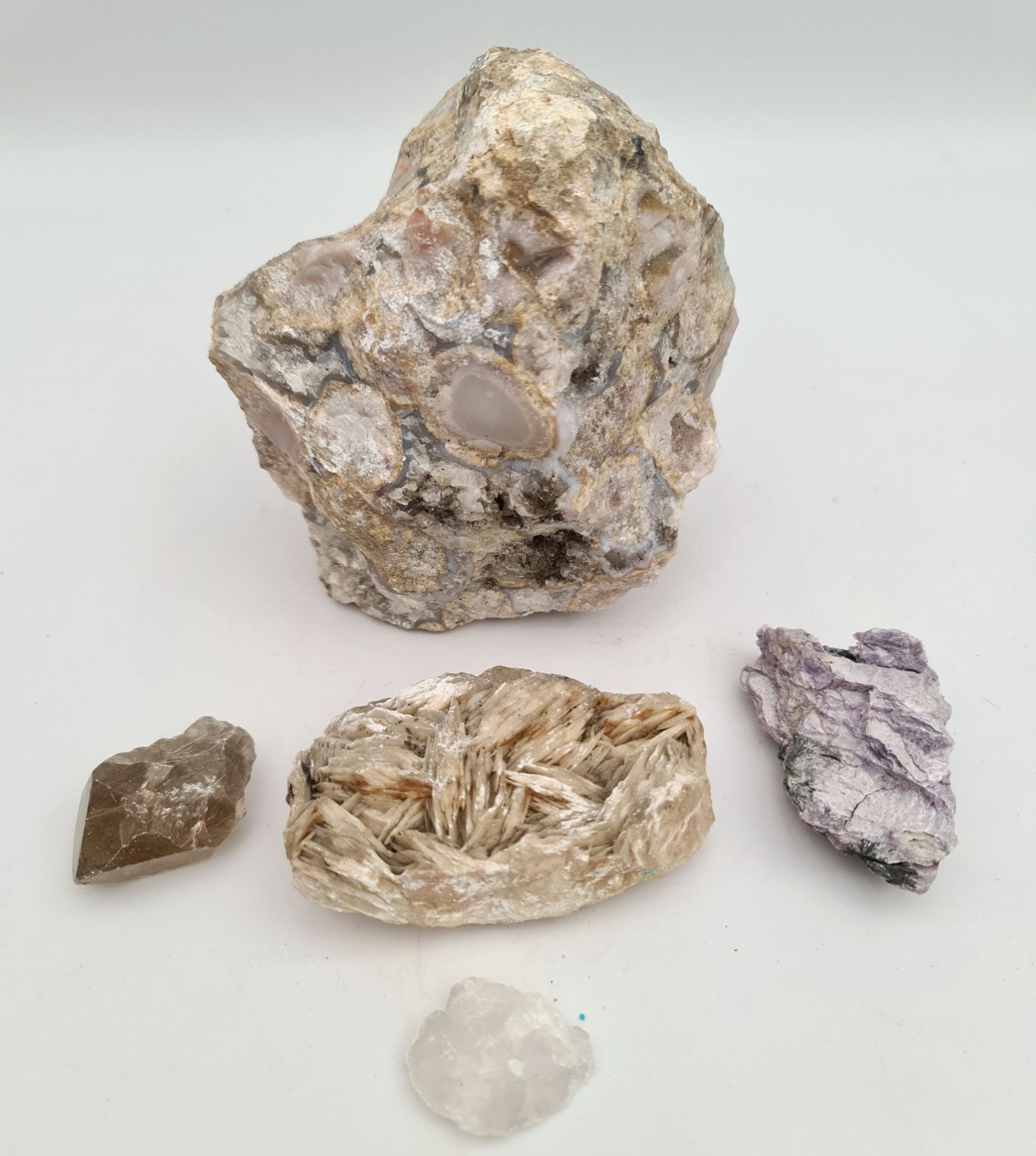 Collectable 5 x Geological Rock Samples