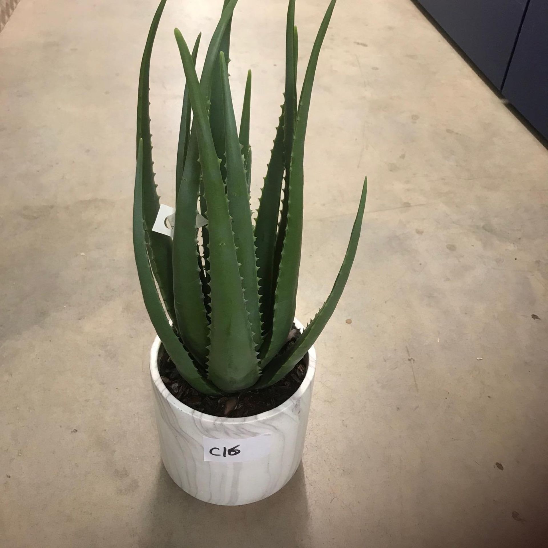 Peony Artificial Aloe Plant in Marble Pot (C16)