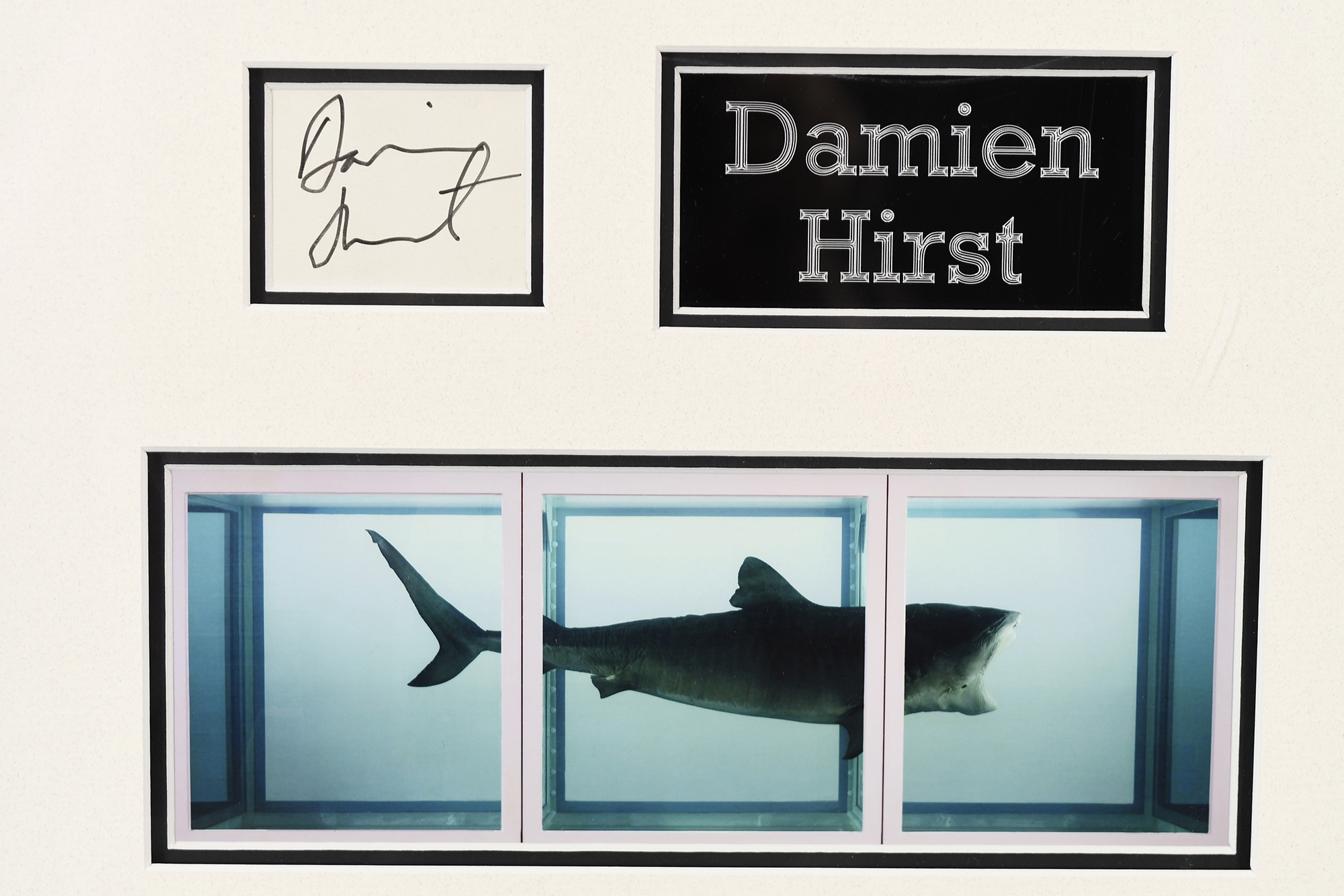 Damien Hurst Framed Signature Presentation - Image 8 of 8