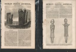 Antique Set Featuring 2 Editions of The Dublin Penny Journal published 1882 (34)