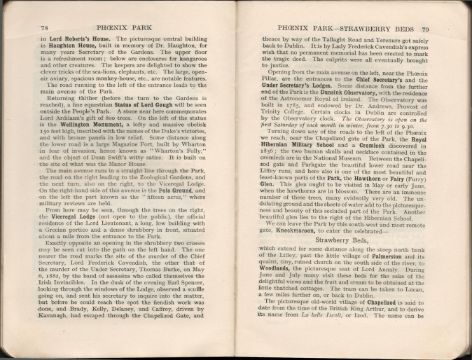 Hardback Illustrated Tourist 1926 Guide Book Dublin City to The Boyne Valley - Image 11 of 12