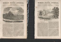 Antique Set Featuring 2 Editions of The Dublin Penny Journal published 1882 (31)