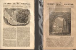 Antique set; Featuring 2 editions of The Dublin Penny Journal published 1882 (#18)