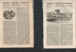 Antique Set Featuring 2 Editions of The Dublin Penny Journal published 1882 (30)