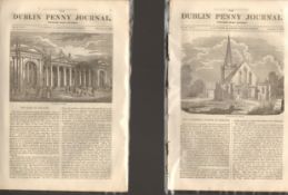 Antique set; Featuring 2 editions of The Dublin Penny Journal published 1882 (#7)