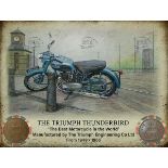 The Triumph Thunderbird Original Coins Metal Information Plaque