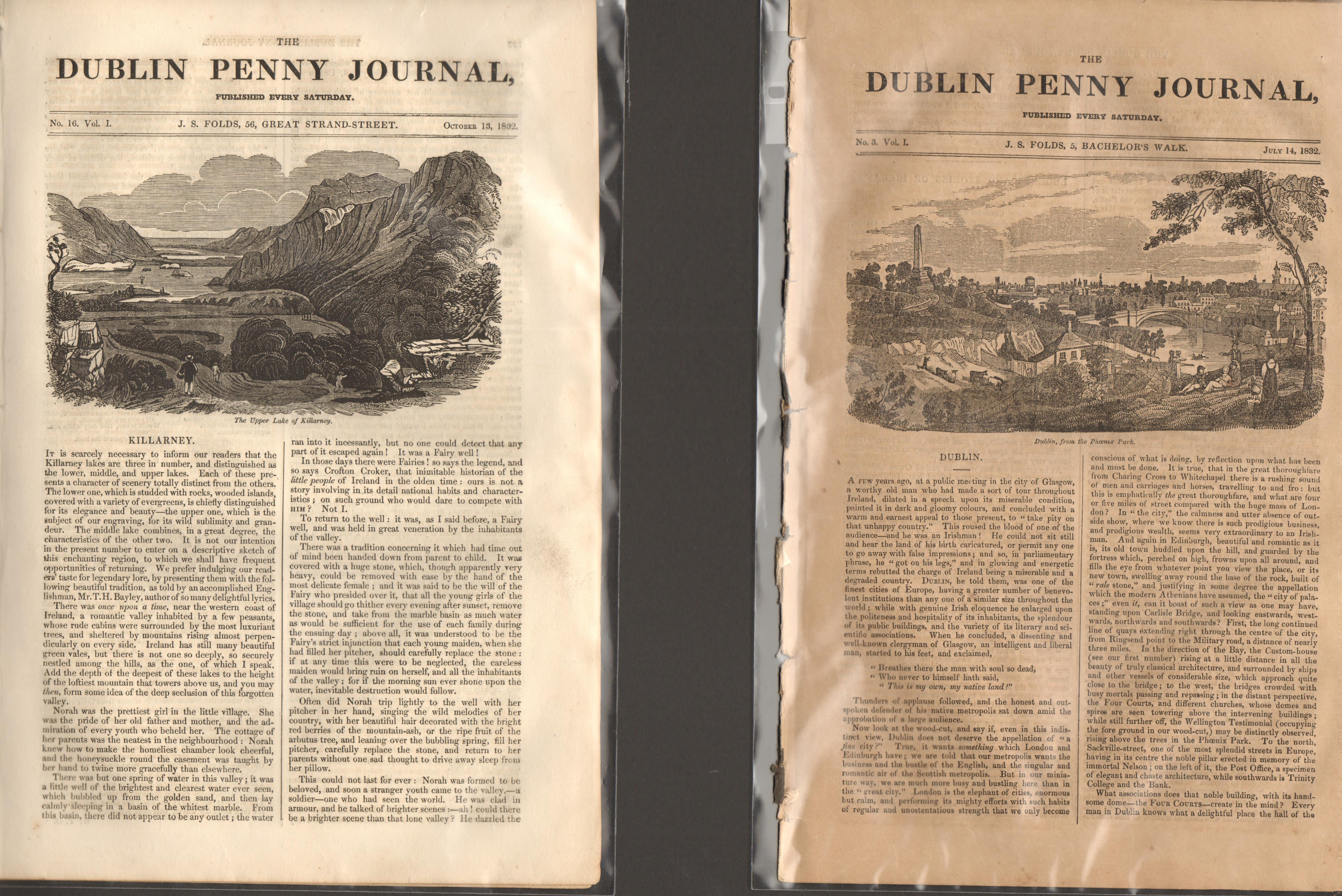 Antique set; Featuring 2 Editions of The Dublin Penny Journal Published 1882 (#11)