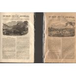 Antique set; Featuring 2 Editions of The Dublin Penny Journal Published 1882 (#11)