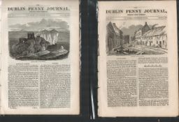 Antique Set Featuring 2 Editions of The Dublin Penny Journal published 1882 (33)