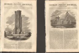 Antique set; Featuring 2 editions of The Dublin Penny Journal published 1882 (#9)