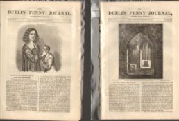 Antique set; Featuring 2 editions of The Dublin Penny Journal published 1882 (#27)